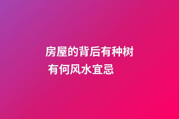 房屋的背后有种树 有何风水宜忌